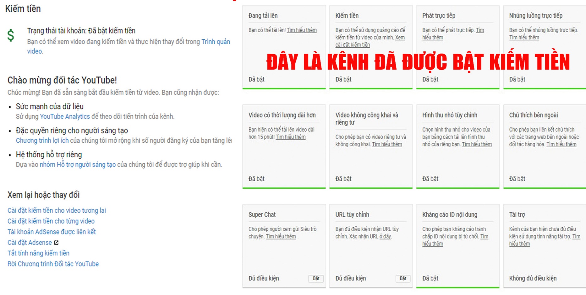 1 kênh đã bậ kiếm tiền và các chức năng tạo thu nhập