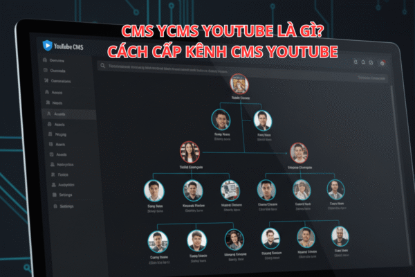 CMS YouTube Là Gì? Hướng Dẫn Cách Cấp Kênh CMS YouTube Chi Tiết Từng Bước